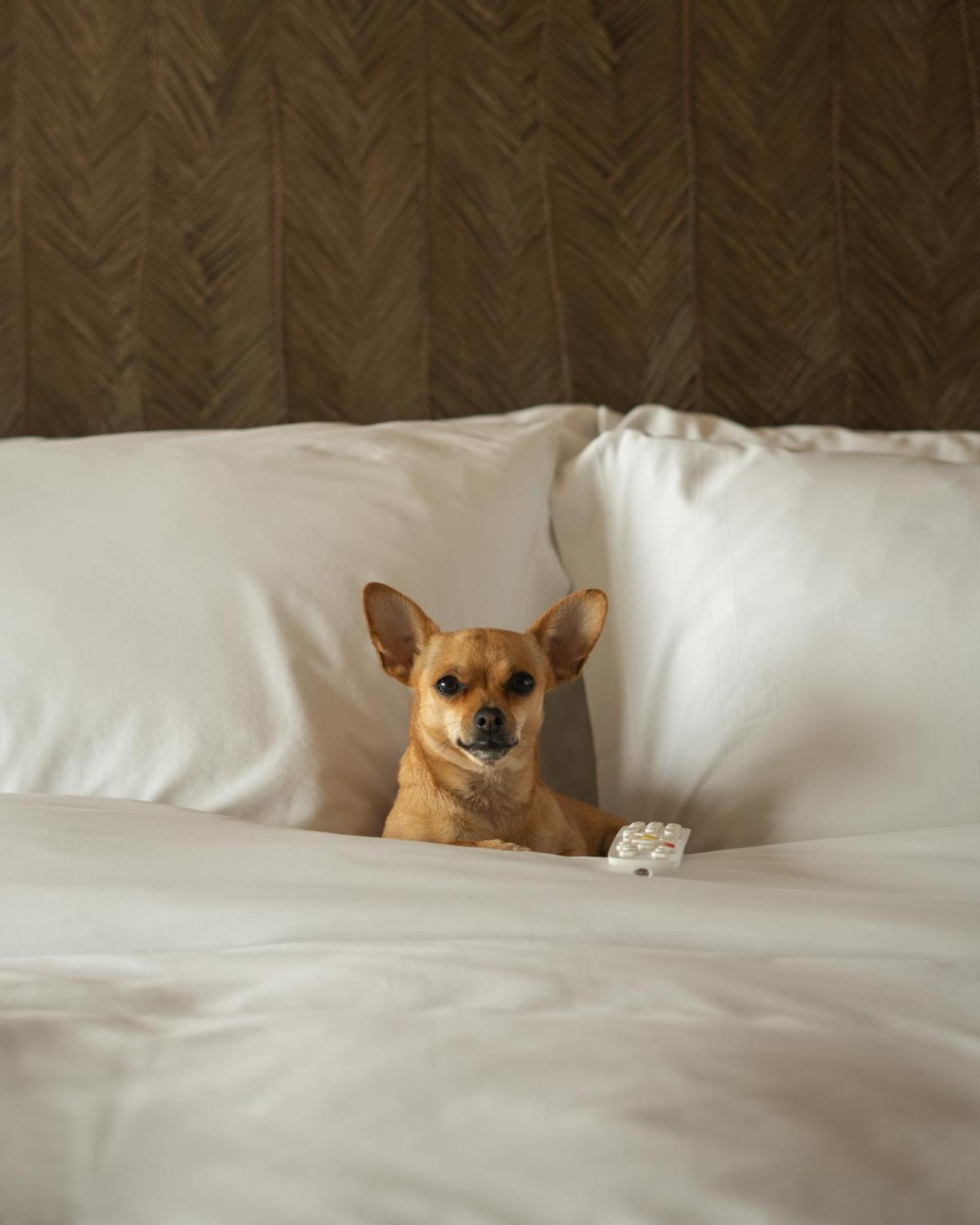 Manto Hotel Lima - Mgallery ภายนอก รูปภาพ
